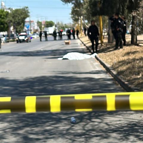 Atropellado y muerto 