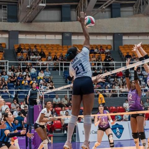 Gigantes de Aguascalientes