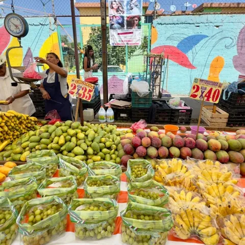 Inflación en Aguascalientes 