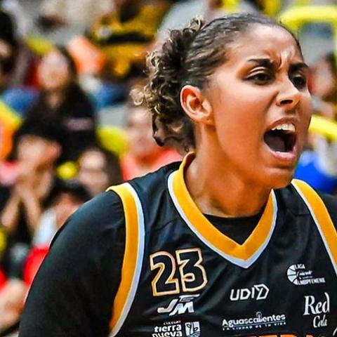 Fuerza Regia 75-94 Panteras