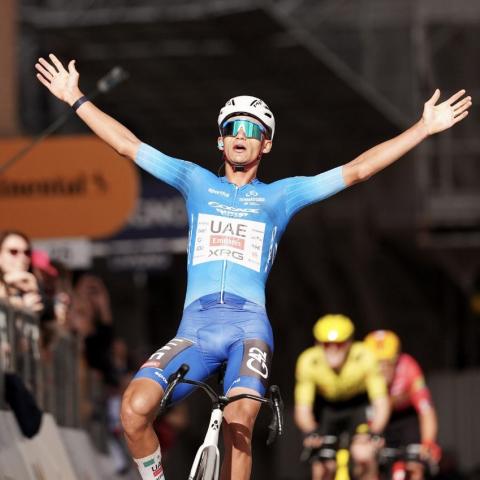 del toro terreno adriatico 2026