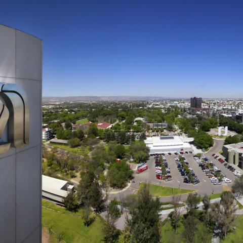 Liberan a funcionaria de la UAA implicada en estafa Ponzi