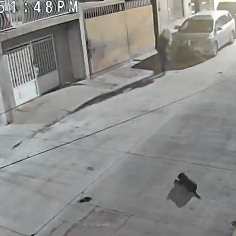 Restos  de Cumbres fueron manipulados por policías estatales y eran de animal: SSPMA 