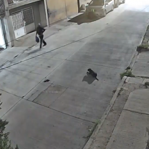 Hallazgo de restos óseos en Cumbres 