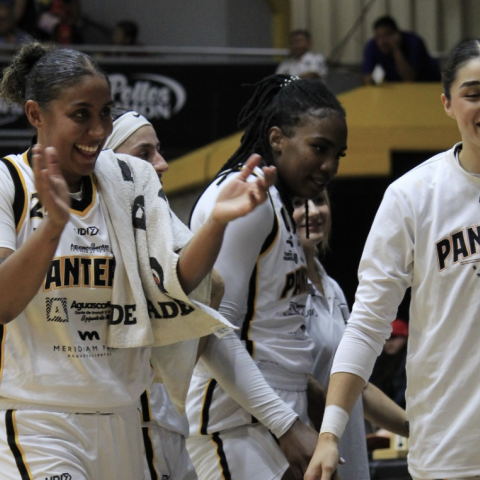 PANTERAS VS ABEJAS 2026