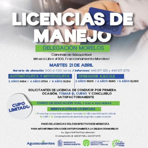 Licencias de manejo