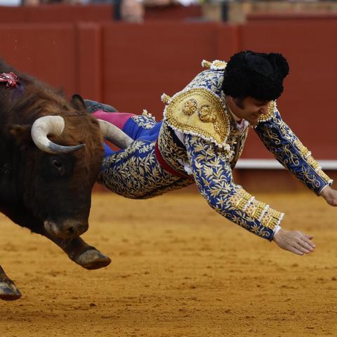 MORANTE DE LA PUEBLA 2026