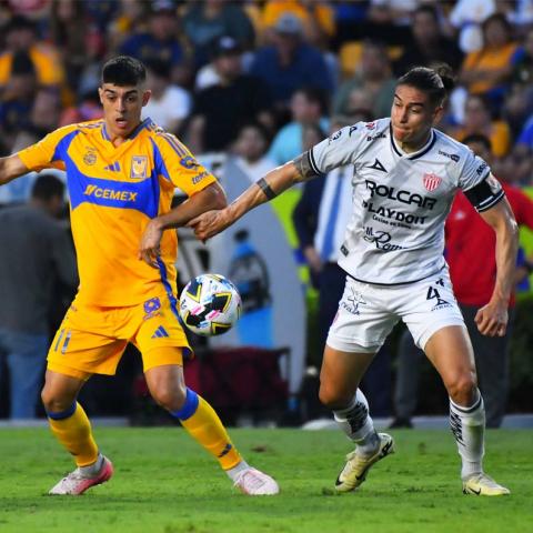 NECAXA VS TIGRES 2026