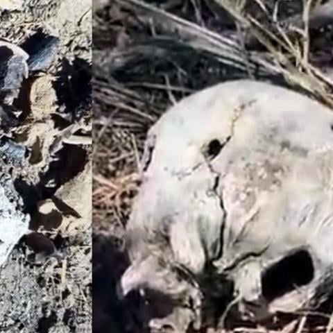 Presunto campo de exterminio hallado en Reynosa