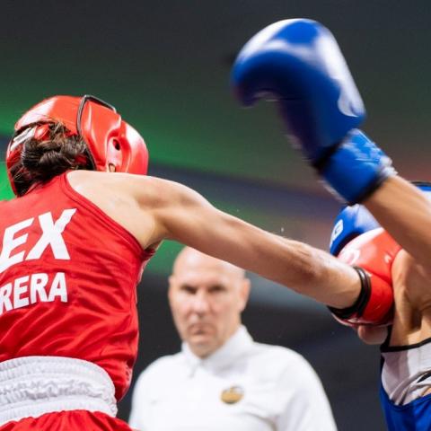 Copa del Mundo de Boxeo, Brasil 2026