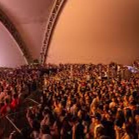 Foros de las Estrellas