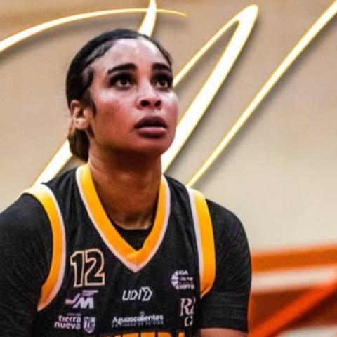 Correcaminos 50-84 Panteras