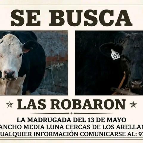 Violencia 