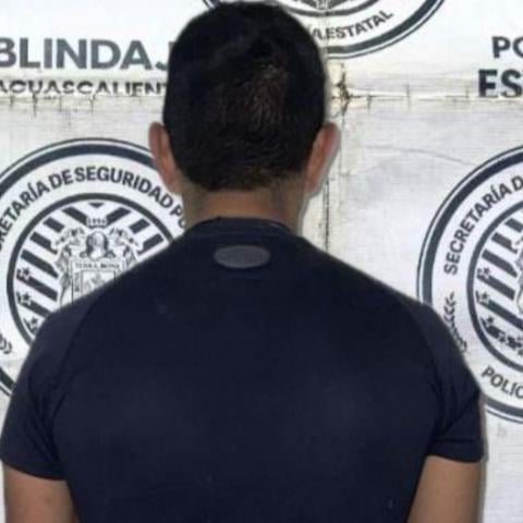 distribuidor 