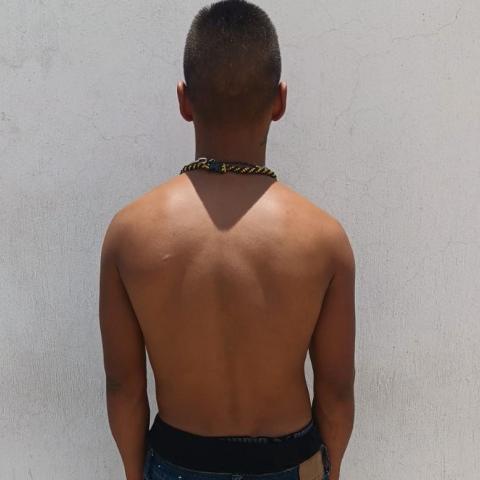 bolardo