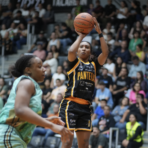 PANTERAS VS ABEJAS 2026