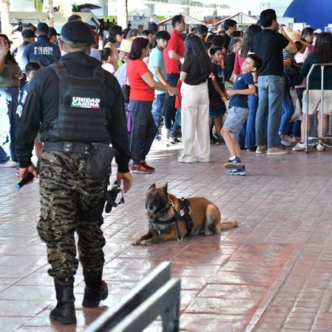 Grupo K-9 