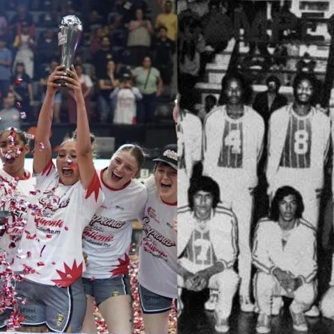PANTERAS HISTORIA
