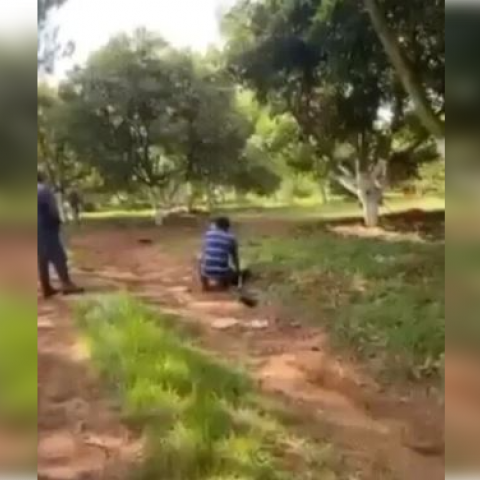 Violencia en Michoacán 