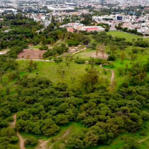 Pide colectivo que municipio transparente dictamen de compra venta de La Pona
