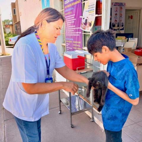 Vacunas para mascotas en Aguascalientes; campaña de vacunación