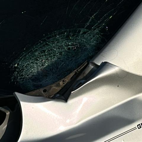 Muere mujer atropellada en la 45 Nte frente a la estación Santa Fe, Rincón de Romos