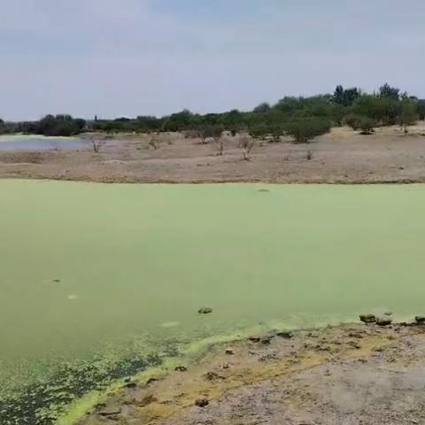 Presa Los Parga