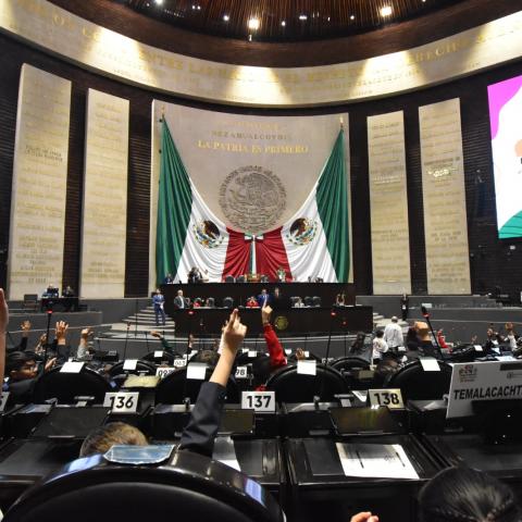 Parlamento Infantil
