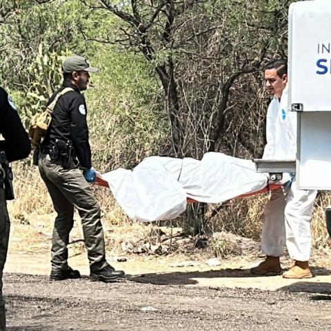 Un trabajador del campo localizó el cuerpo sin vida en un predio de Estación Chicalote, SFR