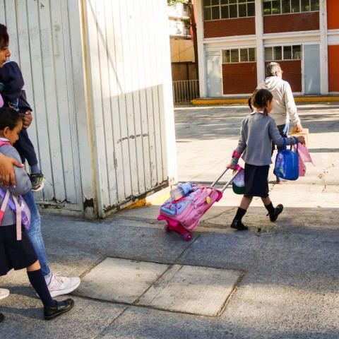 educación básica