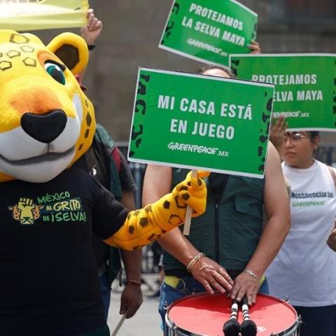 Ruta del Jaguar