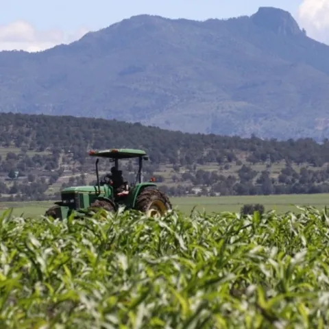 tasas de créditos para el campo