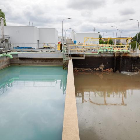 Saneamiento del Agua