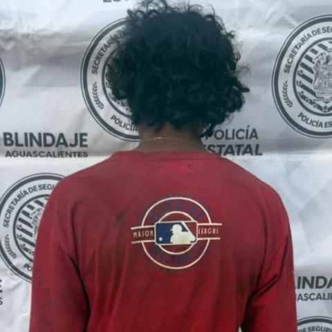 distribuidor