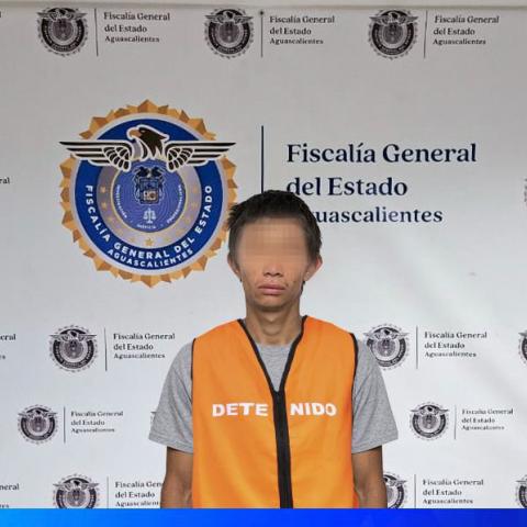 ladrón domicilio