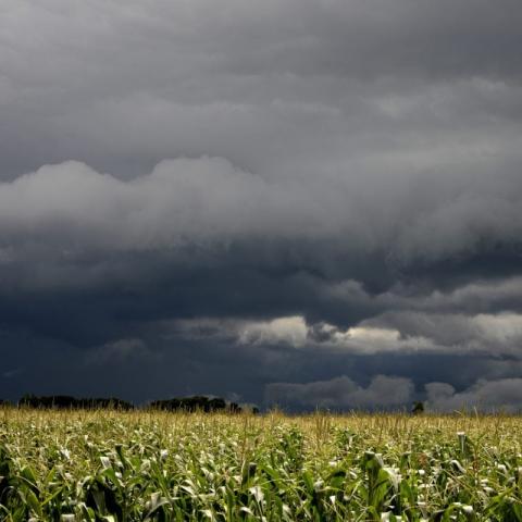 Incrementa promedio de lluvias en la entidad; campesinos favorecidos por llenado de presas