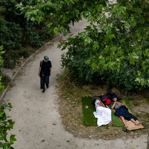 OMS reporta más de mil muertes por ola de calor en Europa