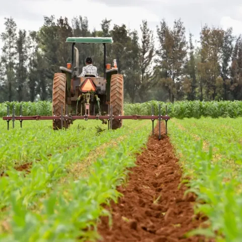 Condiciones del campo