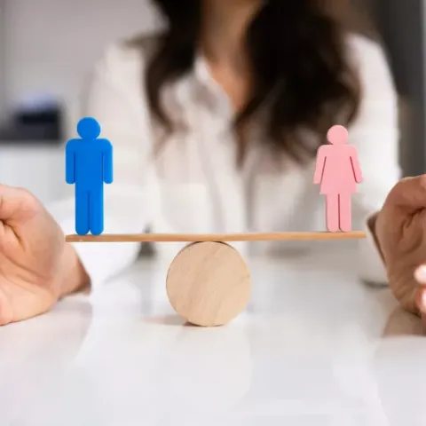 Proceso Electoral