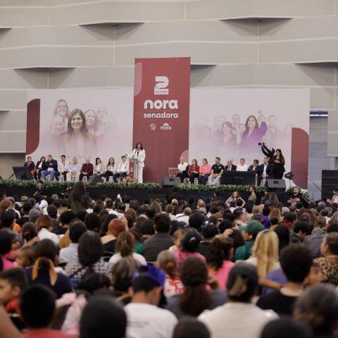 Informe de Actividades