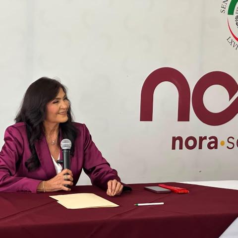 Segundo Informe Legislativo