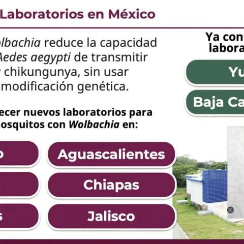 Federación establecerá laboratorio de mosquito estéril contra dengue en Aguascalientes 