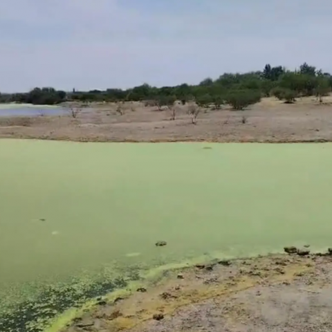 Contaminación en Presa Los Parga 
