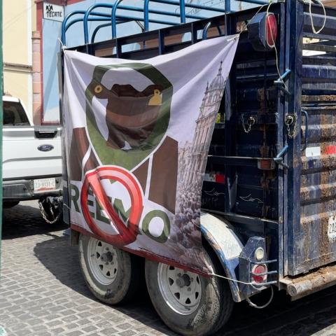 Ganaderos acusan baja de ventas hasta en 70% por obstáculos en guías de tránsito