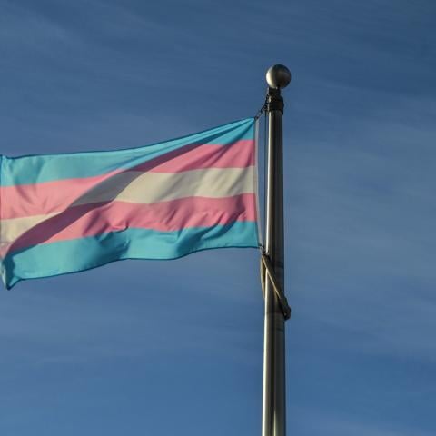 Esperanza de vida para personas trans en México es de 35 años; menos de la mitad que el promedio