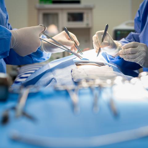 Sí hay especialistas, deben canalizarlo: Asociaciones sobre vaginoplastia en IMSS Aguascalientes 