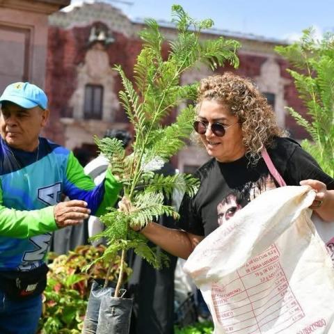 Día Mundial del Medio Ambiente
