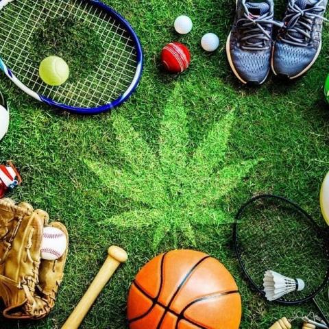 Deportes