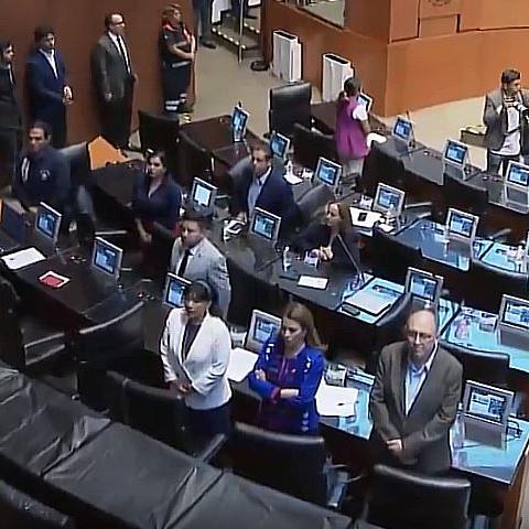 Opositores de espaldas 