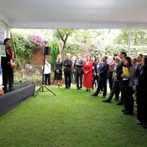 Pedro Costa Pereira